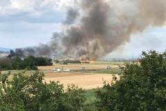 IMG-20190718-WA0011