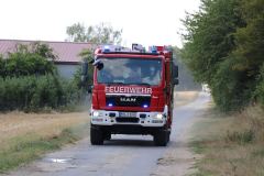 IMG_6356-1