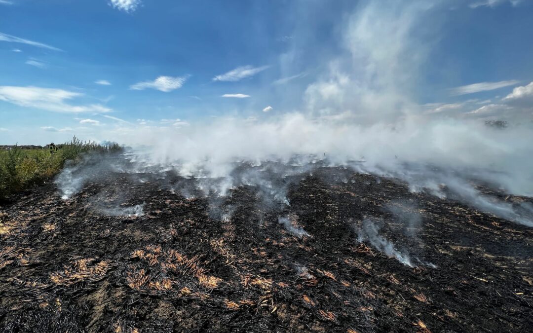 Vegetationsbrand (groß) mit Ausbreitungsgefahr (B40 Weilbach > Wicker)