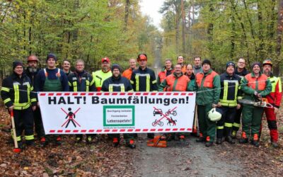 Gemeinsame Weiterbildung Motorkettensäge