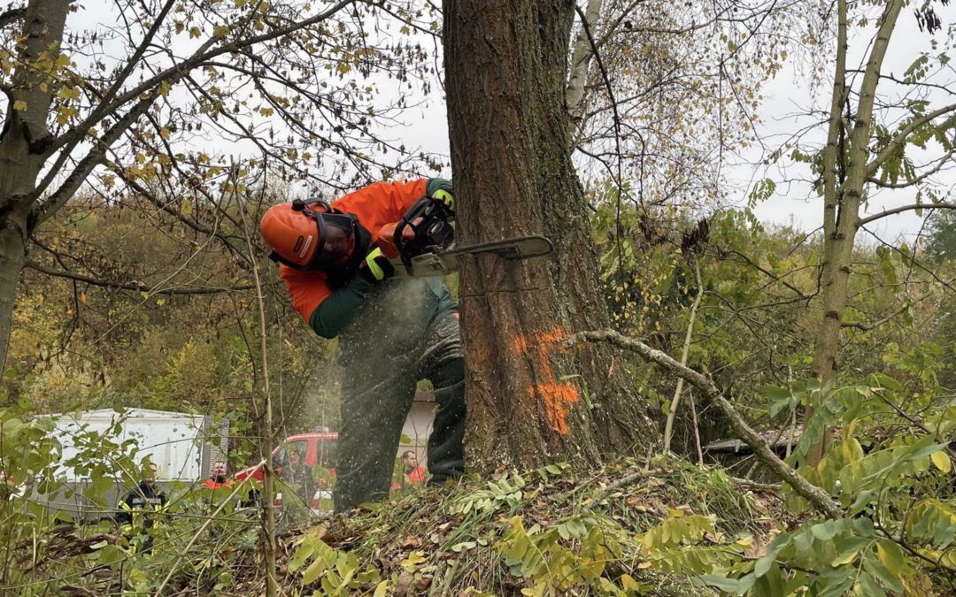 Gemeinsame Motorsägen-Übung der Feuerwehren der Stadt Flörsheim