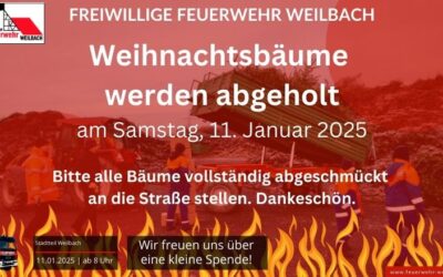 Sammlung der Weihnachtsbäume 2025