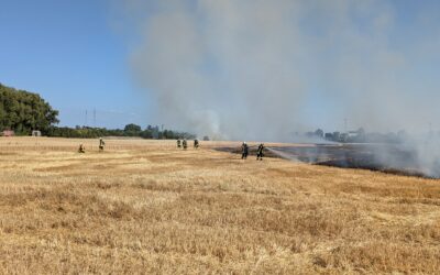Flächenbrand/Vegetationsbrand