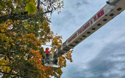 Gemeinsame Motorsägenübung der Feuerwehren der Stadt Flörsheim am Main