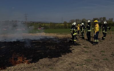 Fit für den Ernstfall: Feuerwehren aus Flörsheim am Main trainieren Vegetationsbrandbekämpfung